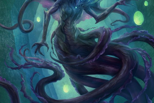 Kraken 5at