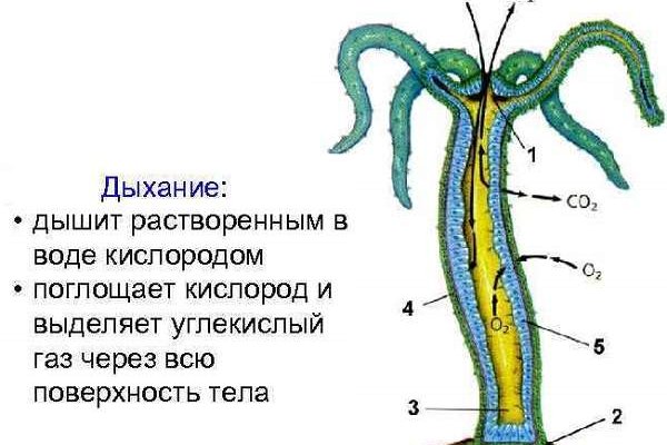 Ссылки на кракен at